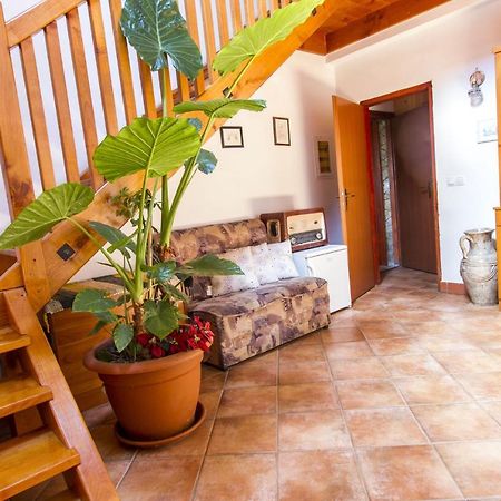 Holiday Home Juricko With Private Sauna Bizeljsko المظهر الخارجي الصورة