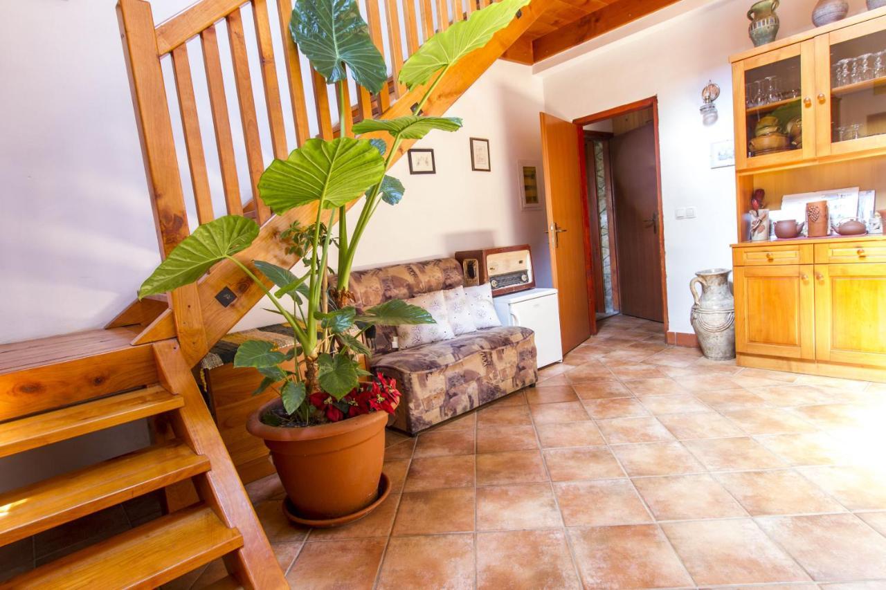 Holiday Home Juricko With Private Sauna Bizeljsko المظهر الخارجي الصورة