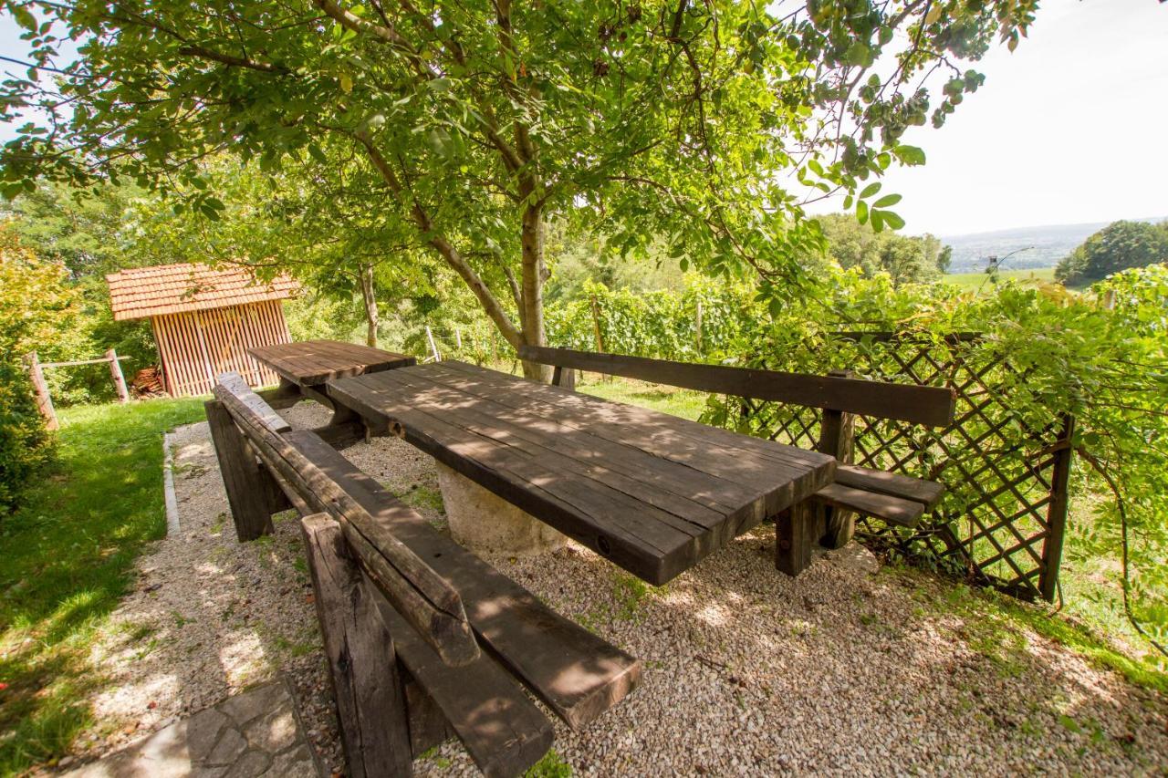 Holiday Home Juricko With Private Sauna Bizeljsko المظهر الخارجي الصورة