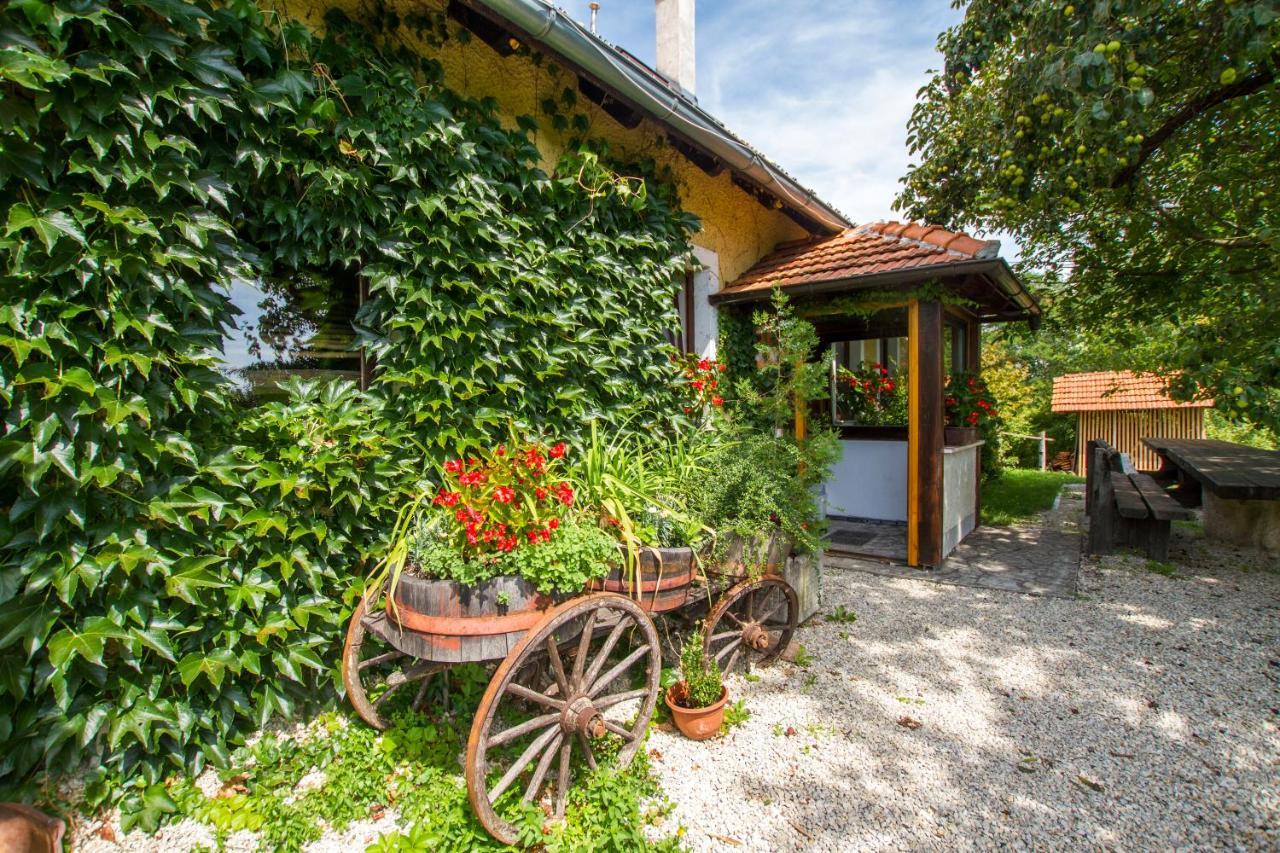 Holiday Home Juricko With Private Sauna Bizeljsko المظهر الخارجي الصورة